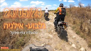 24/05/24 - סיבוב קרבי מגלבוע - רמת יששכר - סירין - אילניה