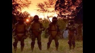 James Newtron Lewis - All Fathers Care For Their Sons - TMNT