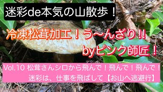 2026迷彩deぶらり山散歩！Vol10 松茸さんの【夢想花】飛んで！飛んで！飛んで！お開き様乱舞！【信州・松茸本舗】閉店間近！