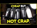 5 Mics UNDER $100 that don't Completey S*CK.