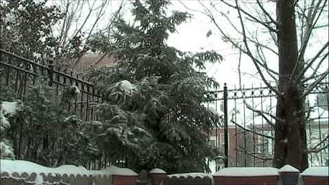 Thumbnail of Let it Snow Chicago