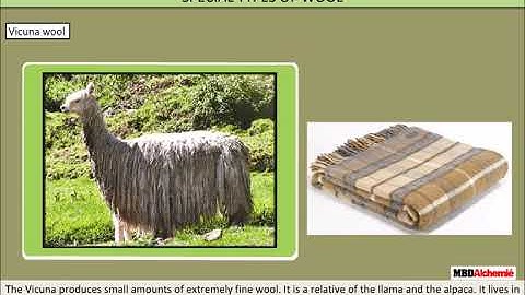 Fibre and Fabrics | Wool | Class 7