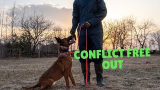 How to Teach a Conflict Free “Out” Command | Grassroots K9