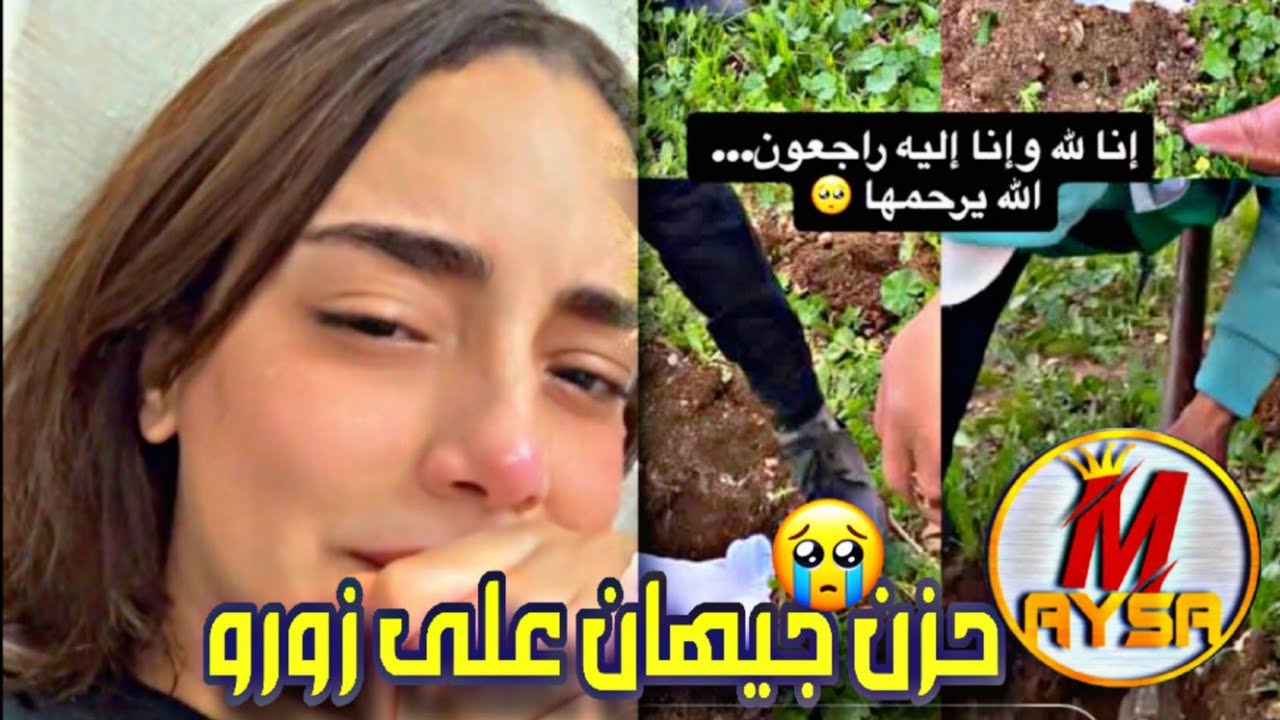 حزن جيهان الشديد على زورو😭/احساس صعب يحس به كل من يربي حيوان أليف💔