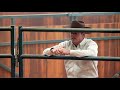 Discussion About Dangerous Horse: Clinton Anderson - Blue In Your Face  - 5