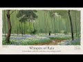 Whispers of Rain | A Playlist of Gentle Showers and Quiet Steps | Study Read 作業用 リラックス 勉強 作业用 放松 学习