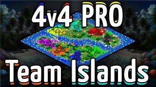 4v4 Pro Team Islands