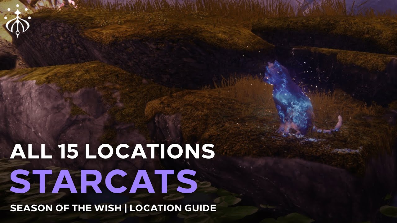 All 15 Starcats Locations "Familiar Felines" Triumph [Destiny 2]