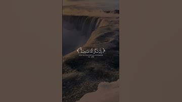 ما تيسر من سورة الأنعام - ياسر الدوسري 📿