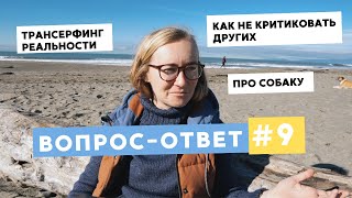видео: ВОПРОС-ОТВЕТ №9 • КАК НЕ КРИТИКОВАТЬ ДРУГИХ, ТРАНСФЕРФИНГ РЕАЛЬНОСТИ И МОЯ СОБАКА картинка: ВОПРОС-ОТВЕТ №9 • КАК НЕ КРИТИКОВАТЬ ДРУГИХ, ТРАНСФЕРФИНГ РЕАЛЬНОСТИ И МОЯ СОБАКА