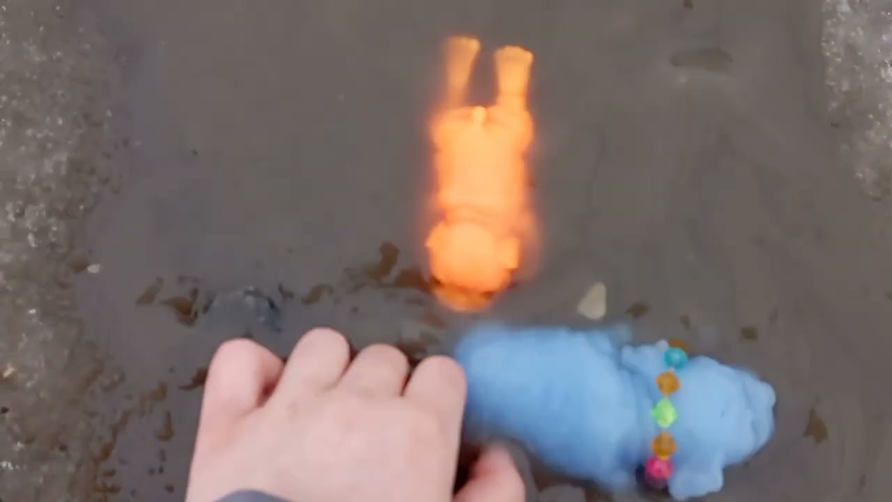 сквиши собаки🐕 \против/ ежа🦔