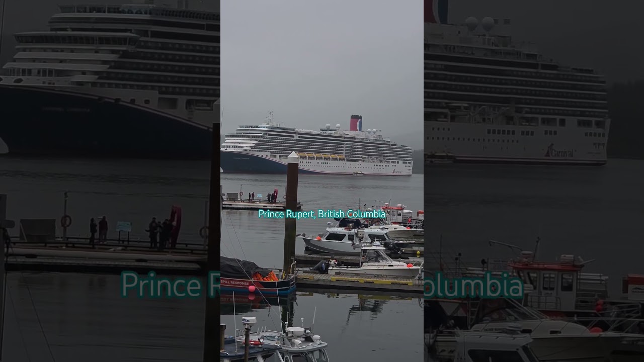 View of the Harbor of Prince Rupert in the rain!  #shorts #cruise #short