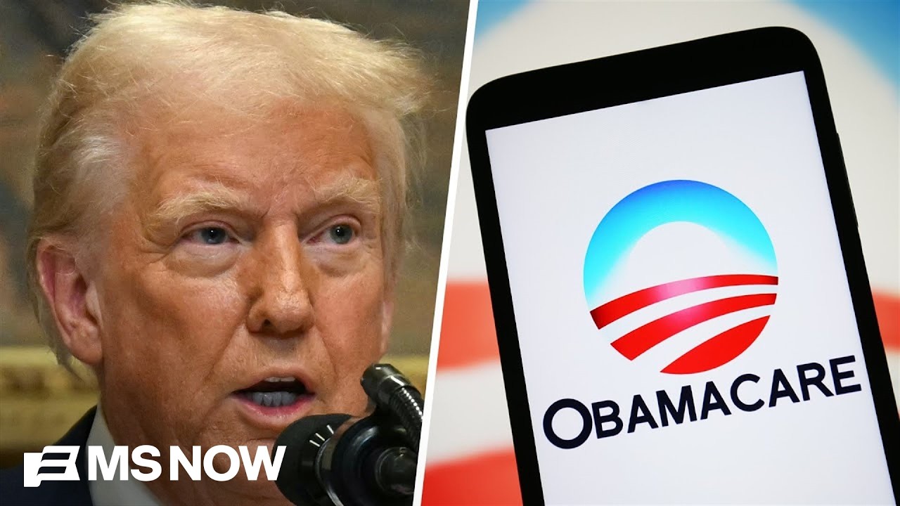 'Certainly looks like buying voters': REACTION to Trump issuing 'Obamacare refund' checks to 20M 