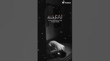 فتبسم ضاحكا من قولها وقال ربي اوزعني ان اشكر نعمتك    (سورة النمل) القارئ بلال دربالي🪐
