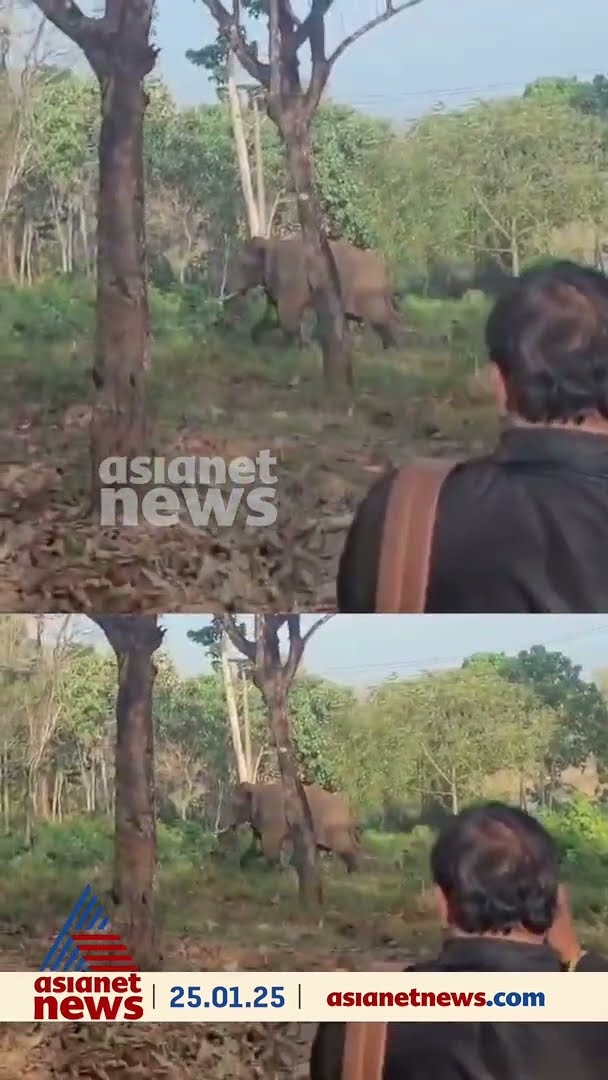 മസ്തകത്തിന് പരിക്കേറ്റ ആനയെ ഡോ. അരുണ്‍ സഖറിയ മയക്കുവെടി വയ്ക്കുന്ന ദൃശ്യങ്ങള്‍
