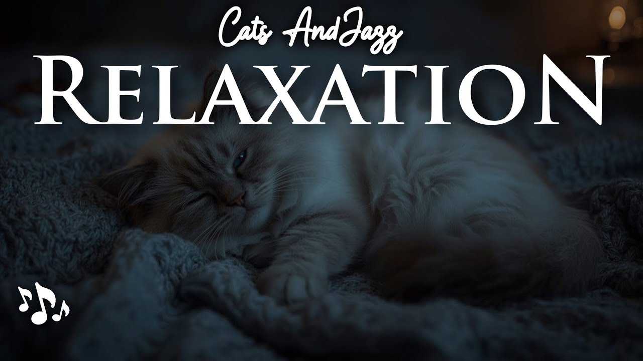 10 Hours Session of Relaxing Jazz for Sleep ☾ Sleeping Cat on a Blanket