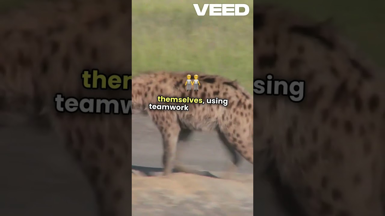 Hyena vs. Lion: Who Would Win in a Fight (Ultimate Showdown) 