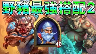 [英雄戰場]  野豬第二種最強玩法 米歐適合野豬嗎? millhouse with QUILBOARS