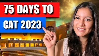 A Very Simple & ClearCut Plan to Crack CAT 2023 in 75 Days