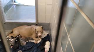 acs A657972