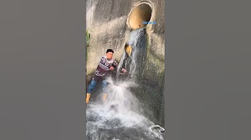 Cá Lớn - đang rửa vợt thì dính Chép Khủng 😱 #khacthuyvlogg