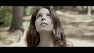 HEAL. -  SKYLIGHT