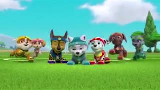 My Little Paw Patrol G4 Theme