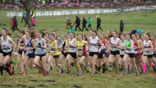 English National Cross Country Champs 2017. Junior Women