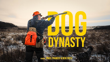 Wirehaired Pointing Griffons - breeding, training, testing and hunting.