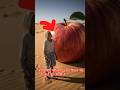 यह बुढ़े आदमी ने बिशाल सेब को घर बनाया 😱🍎 | Survival Story. #shortsfeed #shorts #virals