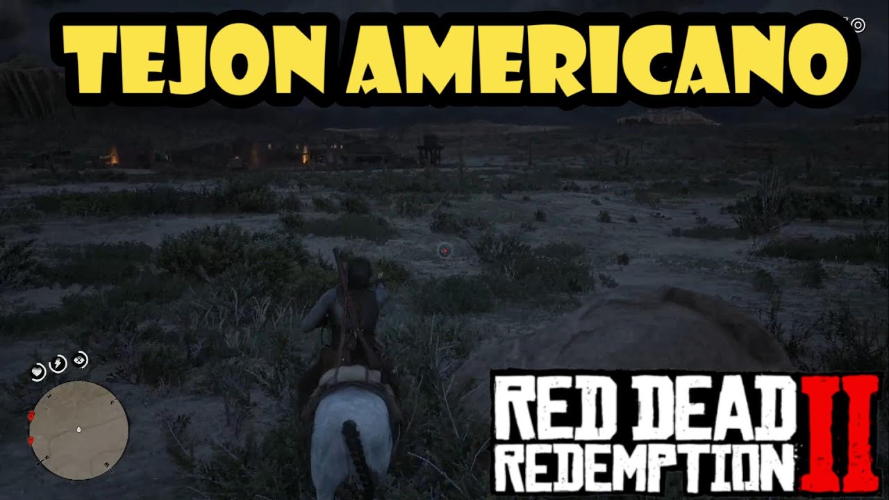 Tejon Rdr2 Donde encontrar el TEJON AMERICANO en Red Dead Redemption 2 ️ - YouTube