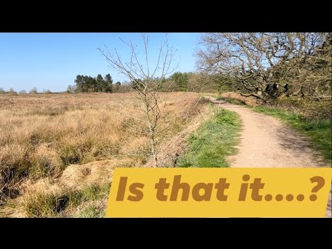 Castle Ring Fort....Cannock Chase ... Riveting....  #castleringfort #vanlife #cannockchase