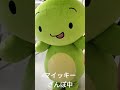マイッキー　さんぽ中