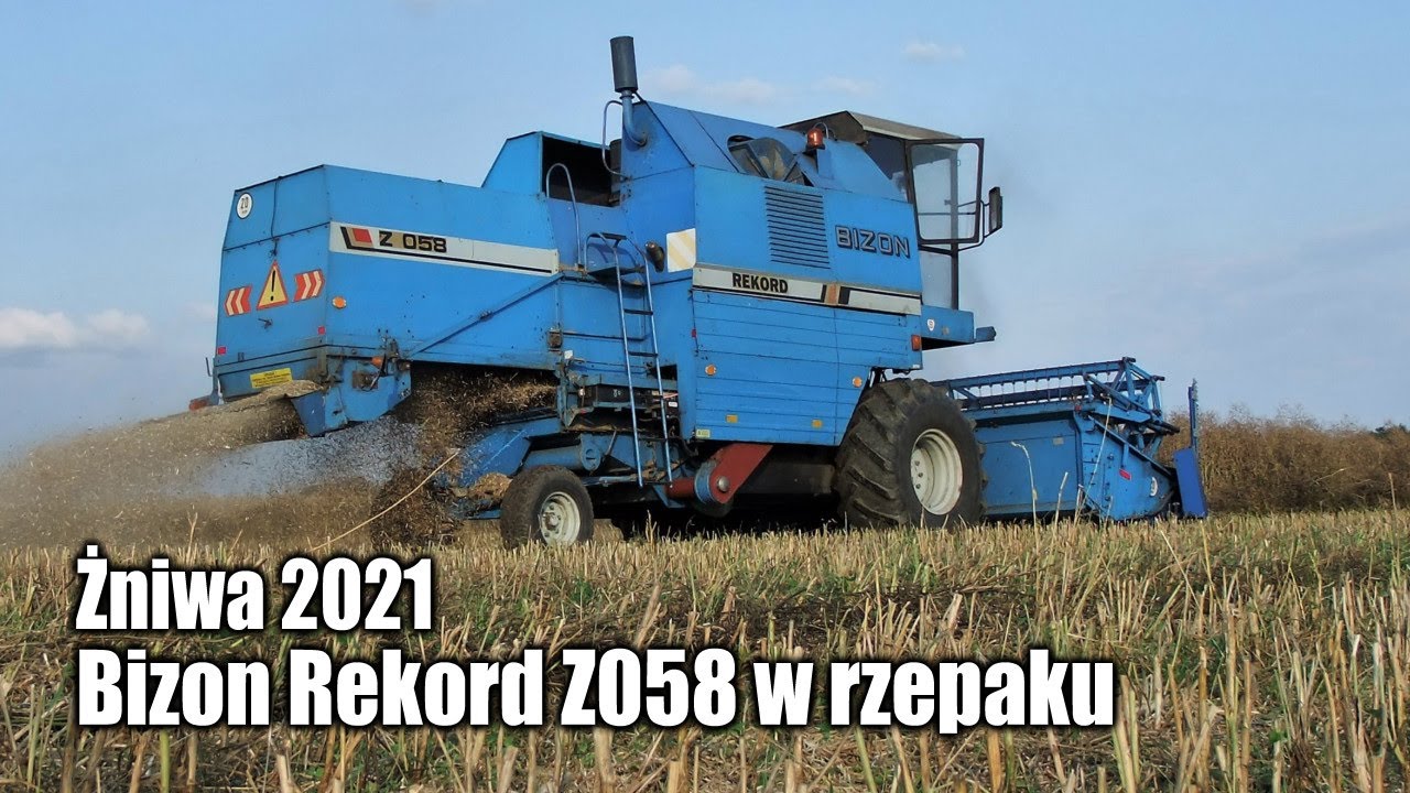 maxresdefault Żniwa 2021   Bizon Rekord Z058 w rzepaku   VIDEO