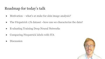 Evaluating Deep Neural Networks Trained on Skin Images with the Fitzpatrick 17k Dataset (Teaser)