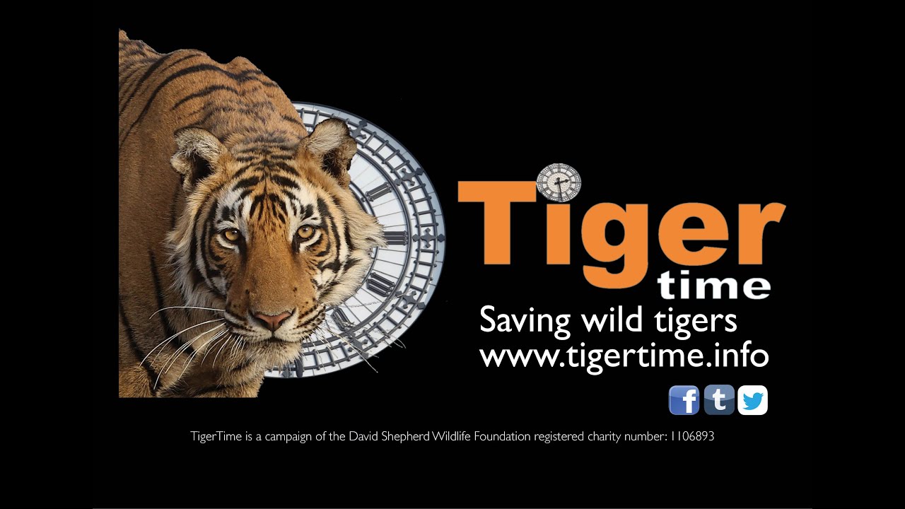 Sign up to a Global Movement on Global Tiger Day