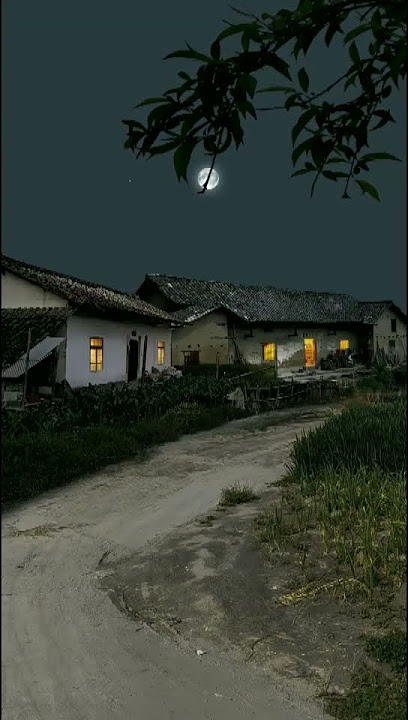Pesona desa saat malam bulan purnama.