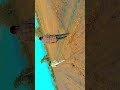 #funny #comedy #livetipsandtricks #drummer trending video kheti badi Patel farming #lifeisbutadream