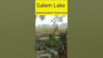 how to Remove lake weeds #shorts