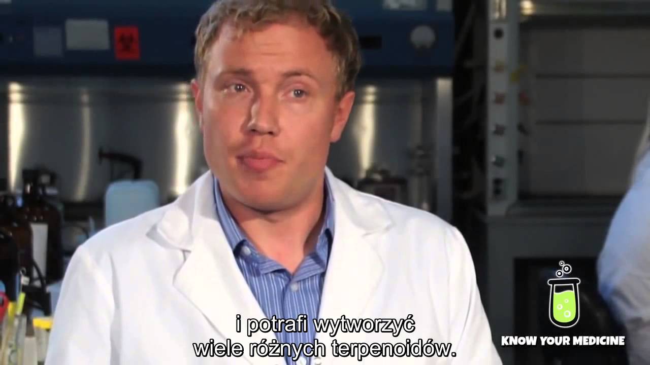 Czym są terpeny? napisy PL