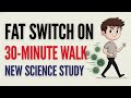 Fasted Cardio Walking | Is It Really Better for Belly Fat?