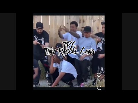 Tiny Rascal California Sacramento’s 45Th Ave Tiny Rascal Gang - YouTube