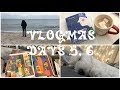 ПРЕКРАСНАЯ ПРОГУЛКА И САМОДЕЛЬНЫЕ КНИГИ || VLOGMAS #6