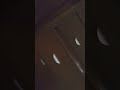 spinning trend
