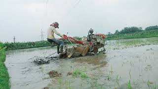Vst shakti power tiller mini tractor #vstpowertiller 