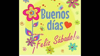 Fraces De Piolin De Tu Tía Grosera No Apto Para Sencibles