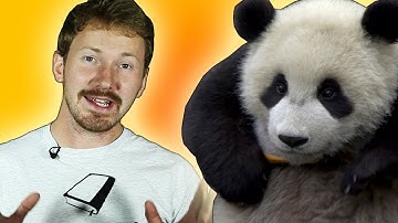 Saving Pandas from Extinction | Zoo La La | BBC Earth Explore