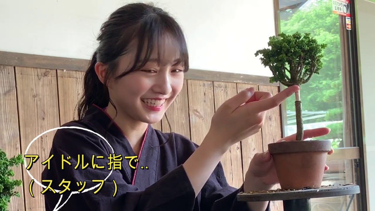 NMB48・山本彩加の挑戦「進め！＃盆栽女子」月刊「近代盆栽」2020年10