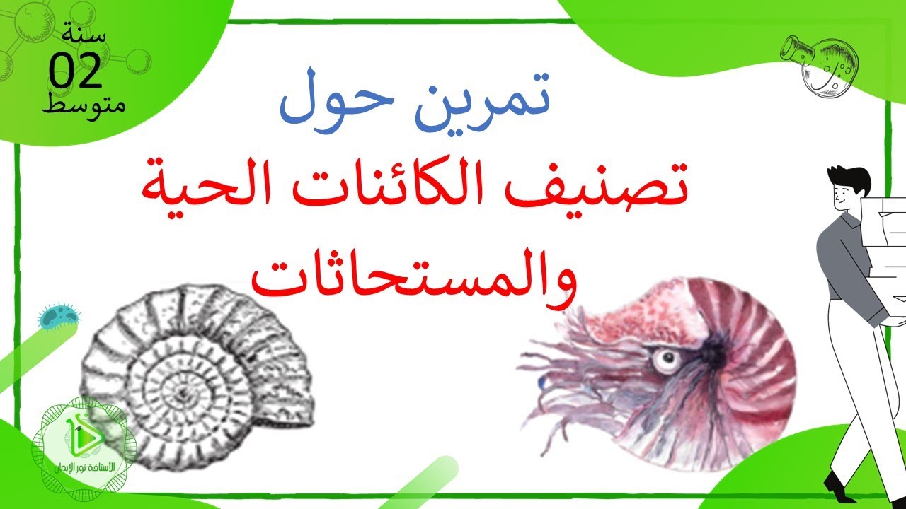 تمرين حول تصنيف الكائننات الحية والمستحاثات علوم طبيعية سنة 02 متوسط
