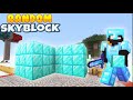 KEJUTAN DARI DEWA MINECRAFT  Di RANDOM SKYBLOCK | Episode 7 |